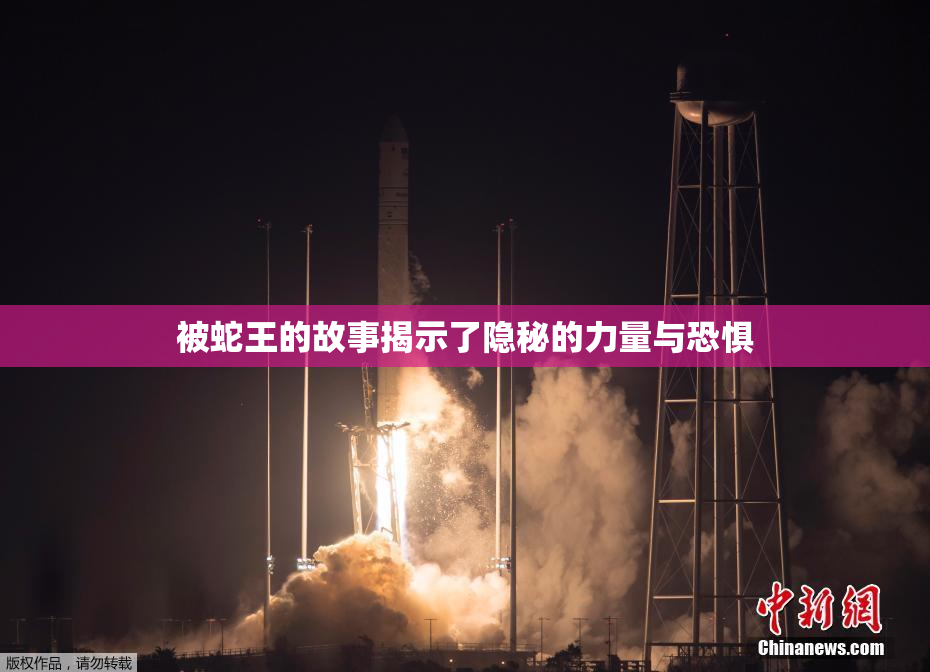 被蛇王的故事揭示了隐秘的力量与恐惧