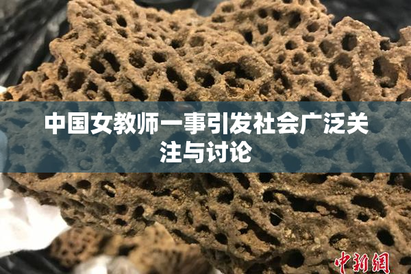中国女教师一事引发社会广泛关注与讨论