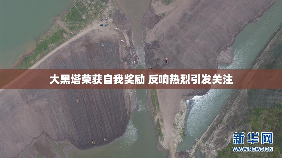 大黑塔荣获自我奖励 反响热烈引发关注