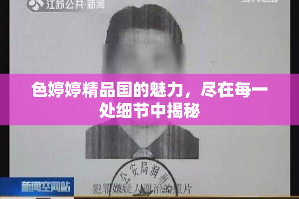 色婷婷精品国的魅力，尽在每一处细节中揭秘