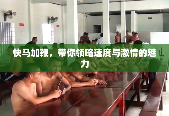 快马加鞭，带你领略速度与激情的魅力
