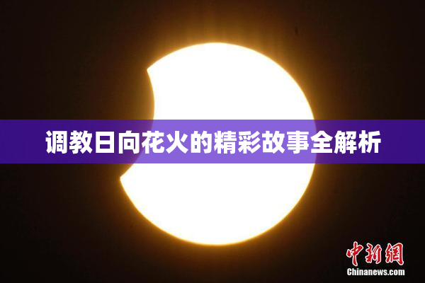 调教日向花火的精彩故事全解析