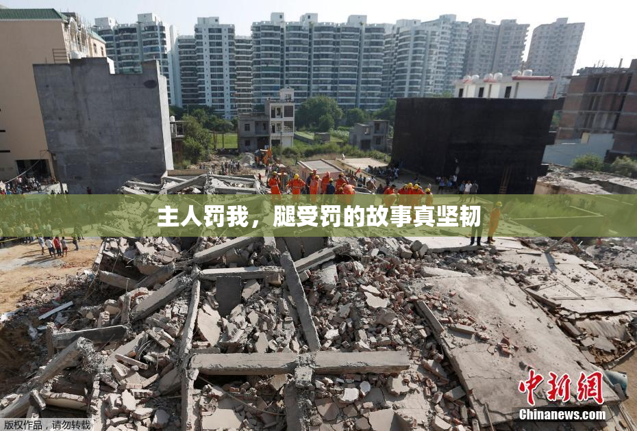 主人罚我，腿受罚的故事真坚韧
