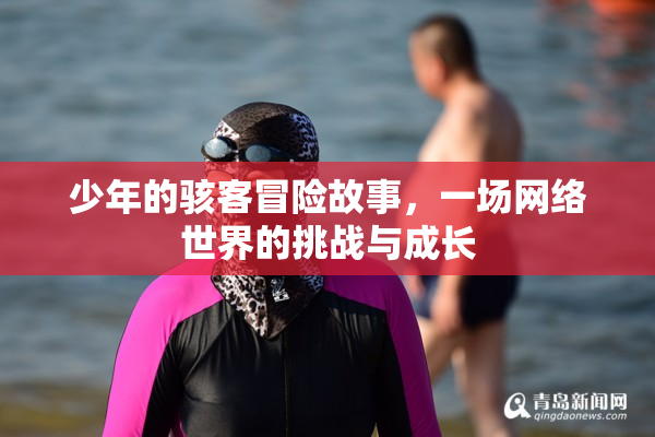 少年的骇客冒险故事，一场网络世界的挑战与成长