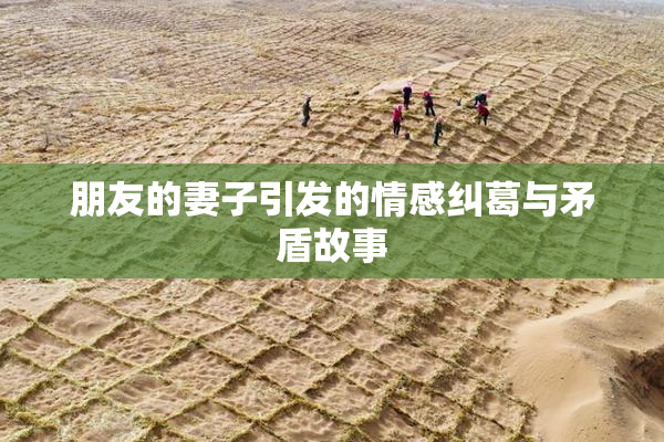 朋友的妻子引发的情感纠葛与矛盾故事