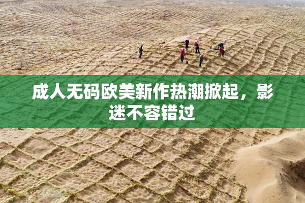 成人无码欧美新作热潮掀起，影迷不容错过
