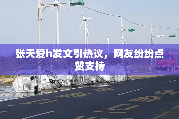 张天爱h发文引热议，网友纷纷点赞支持
