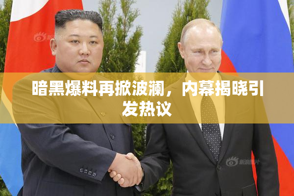 暗黑爆料再掀波澜，内幕揭晓引发热议