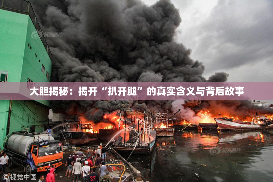 大胆揭秘：揭开“扒开腿”的真实含义与背后故事