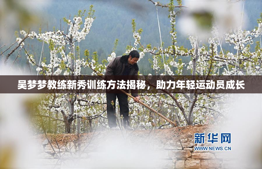 吴梦梦教练新秀训练方法揭秘，助力年轻运动员成长