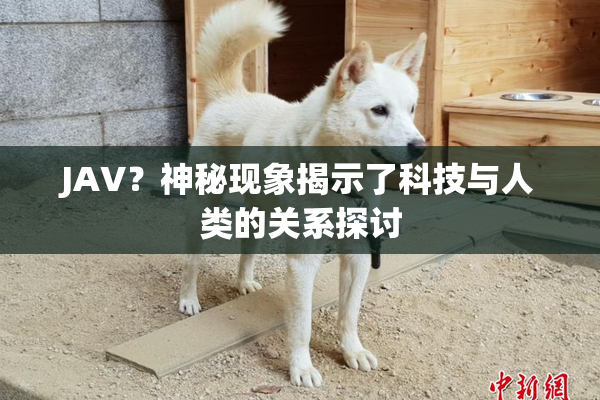 JAV？神秘现象揭示了科技与人类的关系探讨