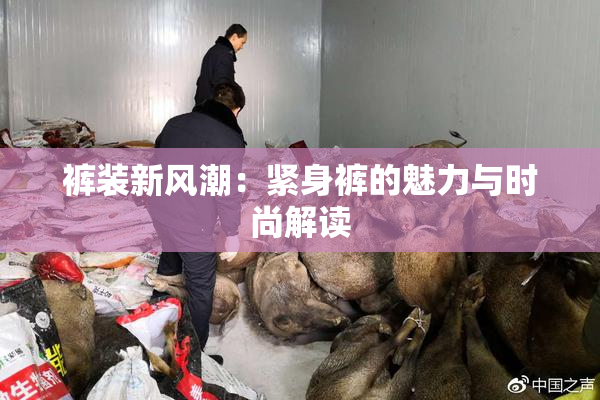 裤装新风潮：紧身裤的魅力与时尚解读