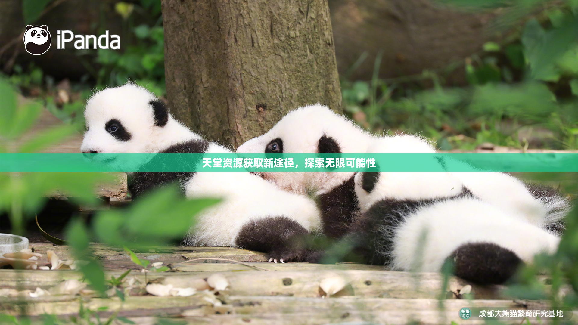 天堂资源获取新途径，探索无限可能性