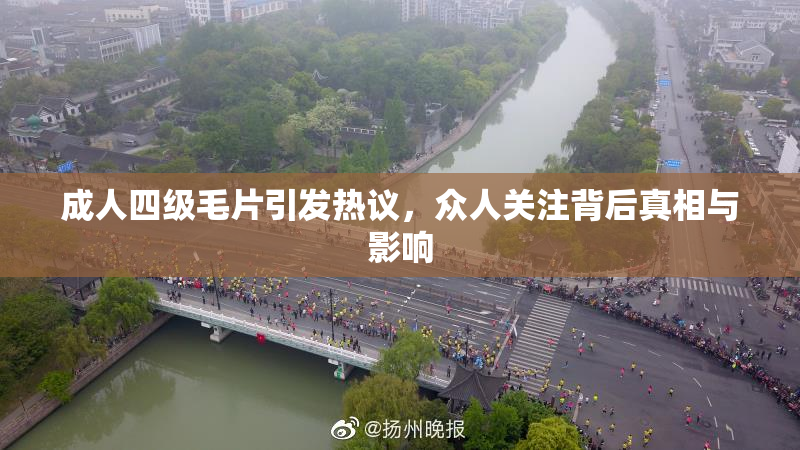 成人四级毛片引发热议，众人关注背后真相与影响