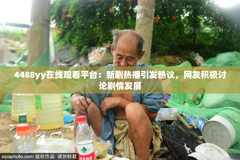 4488yy在线观看平台：新剧热播引发热议，网友积极讨论剧情发展