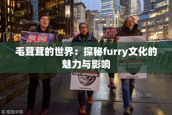 毛茸茸的世界：探秘furry文化的魅力与影响