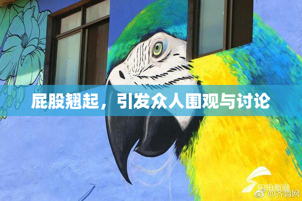 屁股翘起，引发众人围观与讨论