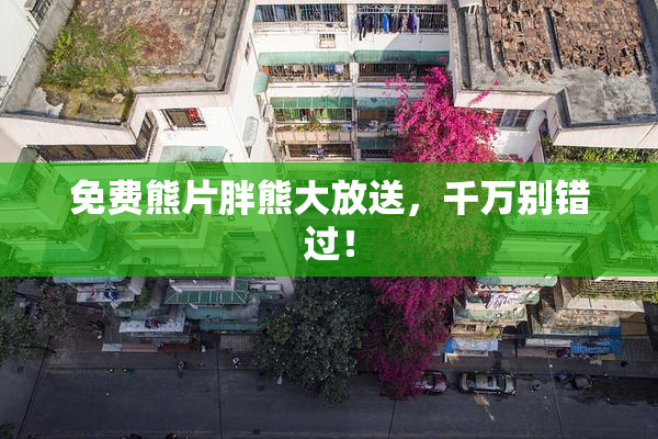 免费熊片胖熊大放送，千万别错过！