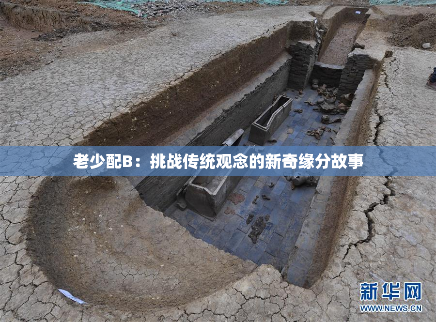 老少配B：挑战传统观念的新奇缘分故事