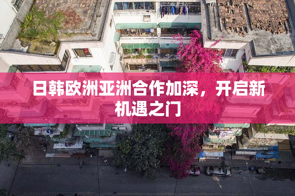 日韩欧洲亚洲合作加深，开启新机遇之门