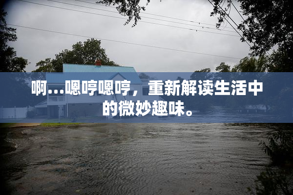 啊…嗯哼嗯哼，重新解读生活中的微妙趣味。
