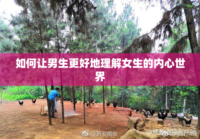 如何让男生更好地理解女生的内心世界