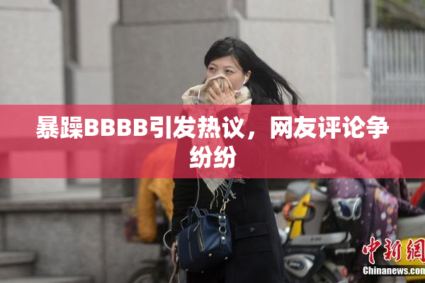 暴躁BBBB引发热议，网友评论争纷纷