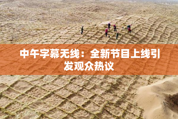 中午字幕无线：全新节目上线引发观众热议