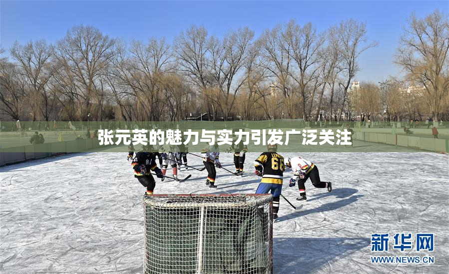 张元英的魅力与实力引发广泛关注