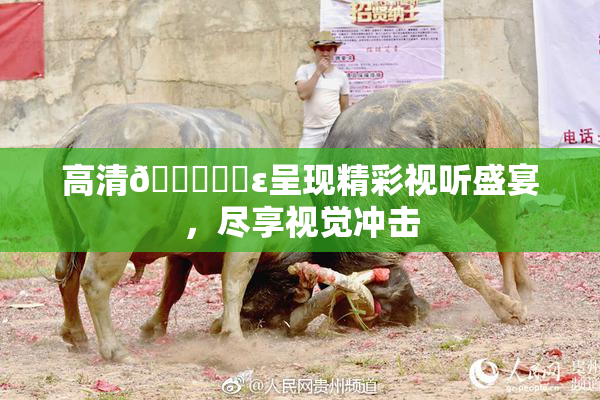 高清🔞❌‌ε呈现精彩视听盛宴，尽享视觉冲击