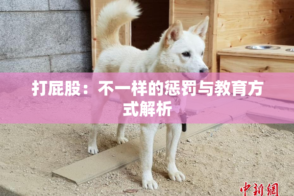 打屁股：不一样的惩罚与教育方式解析