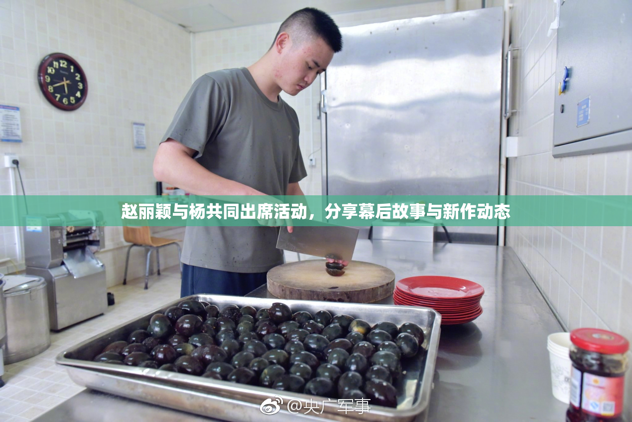 赵丽颖与杨共同出席活动，分享幕后故事与新作动态