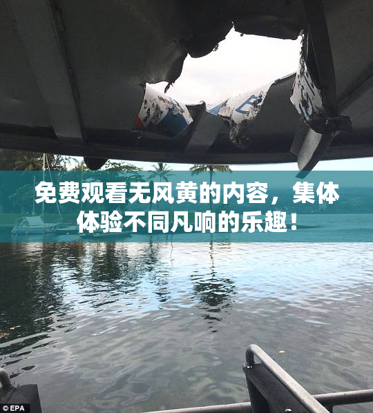 免费观看无风黄的内容，集体体验不同凡响的乐趣！