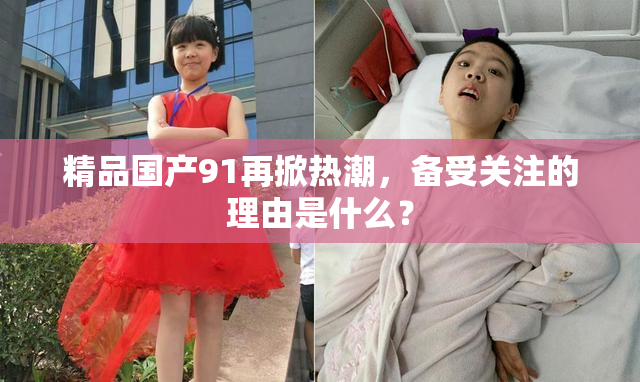 精品国产91再掀热潮，备受关注的理由是什么？