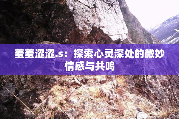 羞羞涩涩.s：探索心灵深处的微妙情感与共鸣