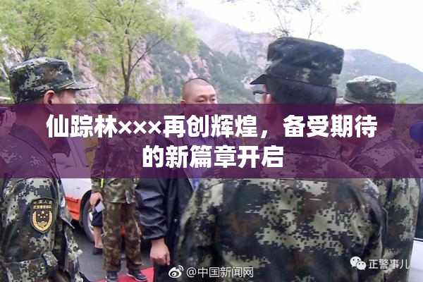 仙踪林×××再创辉煌，备受期待的新篇章开启
