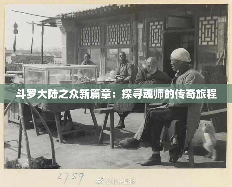 斗罗大陆之众新篇章：探寻魂师的传奇旅程