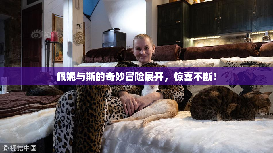 佩妮与斯的奇妙冒险展开，惊喜不断！