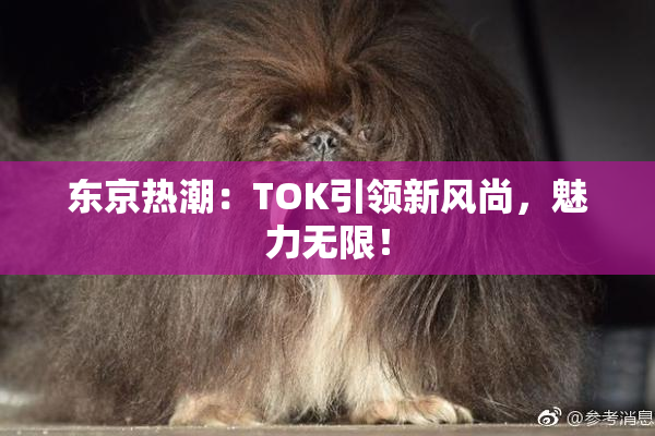 东京热潮：TOK引领新风尚，魅力无限！