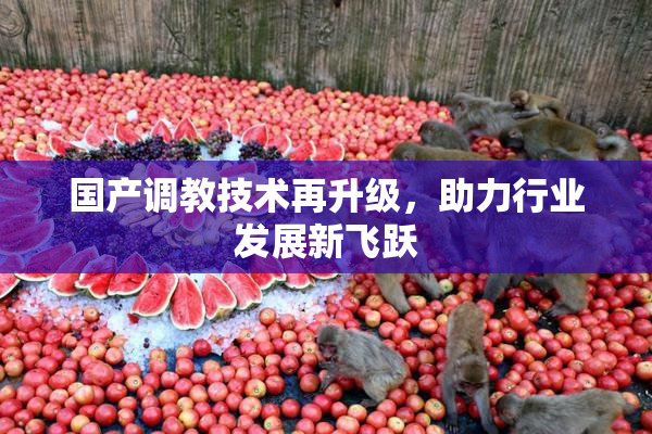 国产调教技术再升级，助力行业发展新飞跃