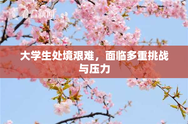 大学生处境艰难，面临多重挑战与压力