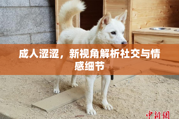 成人涩涩，新视角解析社交与情感细节