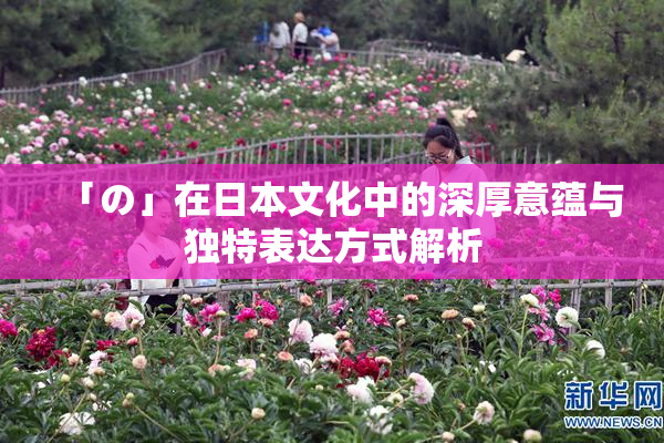「の」在日本文化中的深厚意蕴与独特表达方式解析
