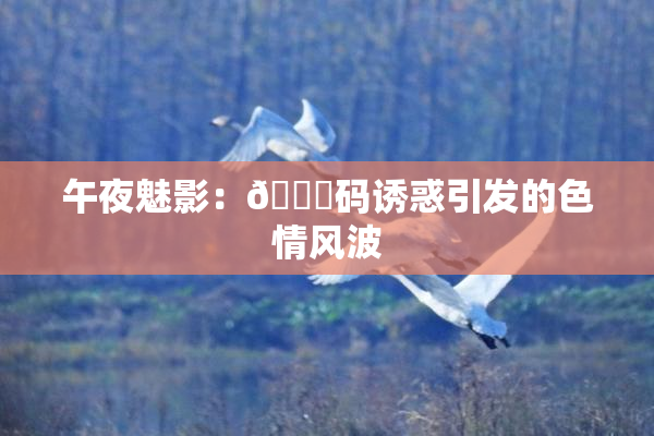 午夜魅影：🈚码诱惑引发的色情风波