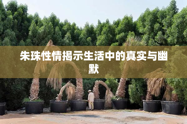 朱珠性情揭示生活中的真实与幽默