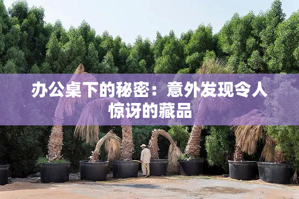 办公桌下的秘密：意外发现令人惊讶的藏品