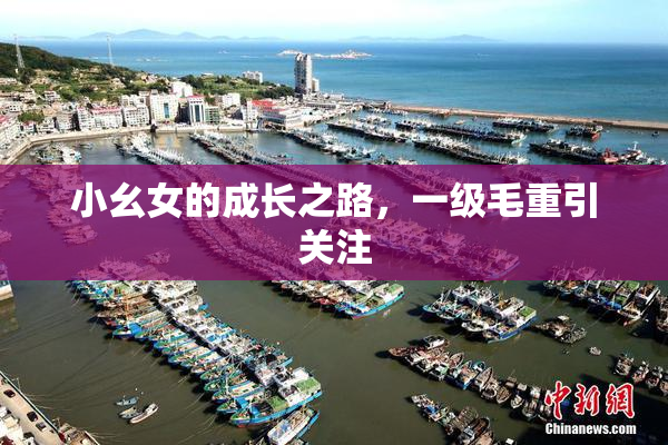 小幺女的成长之路，一级毛重引关注