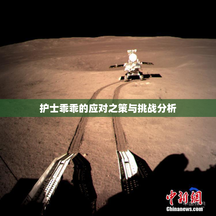 护士乖乖的应对之策与挑战分析