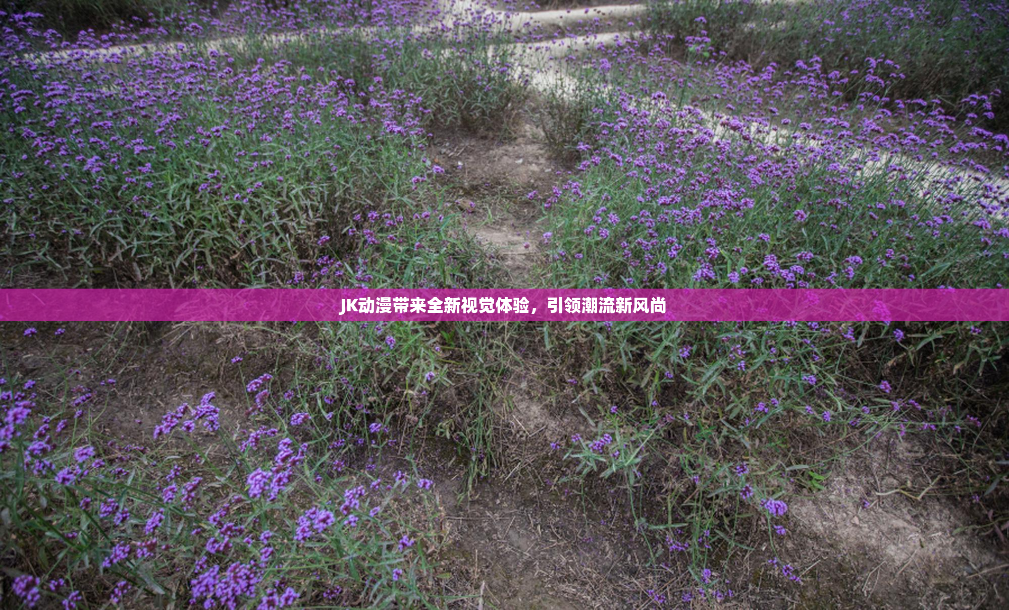 JK动漫带来全新视觉体验，引领潮流新风尚