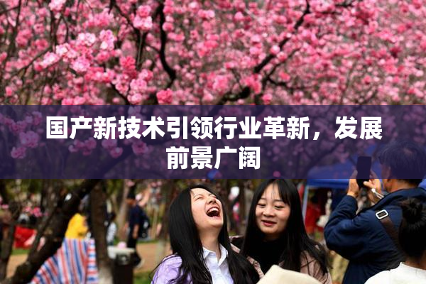 国产新技术引领行业革新，发展前景广阔